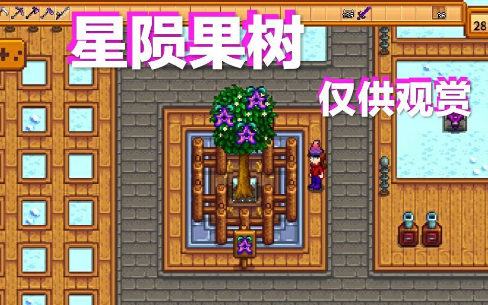 星露谷物语手机版怎么种苹果树的简单介绍-第2张图片-太平洋在线下载