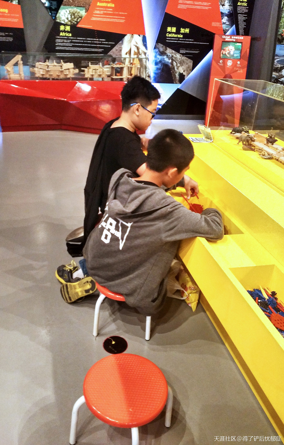 重返童趣时代，香港挪亚方舟之爱心奇遇大历险-第26张图片-太平洋在线下载