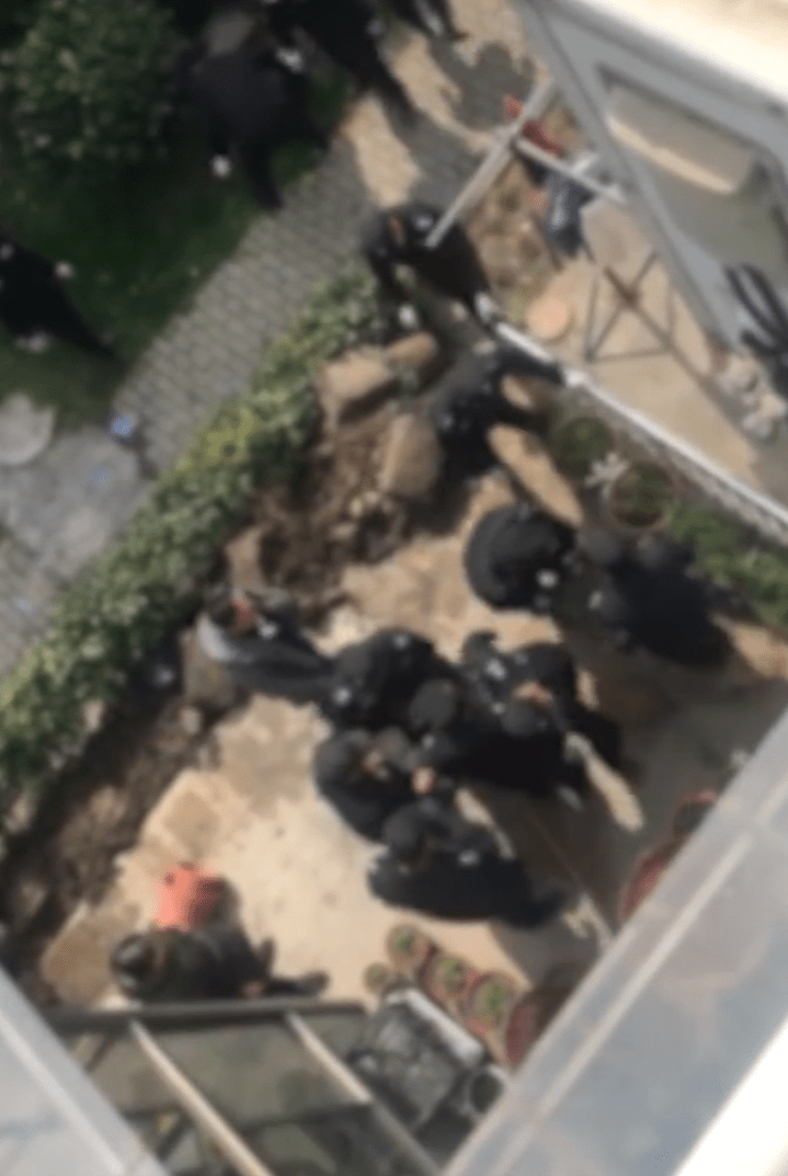 华为手机拒接电话设置:老人在自家院子种菜被强行清理？物业：种菜区域为公共绿地，没有个人院子和花园之说