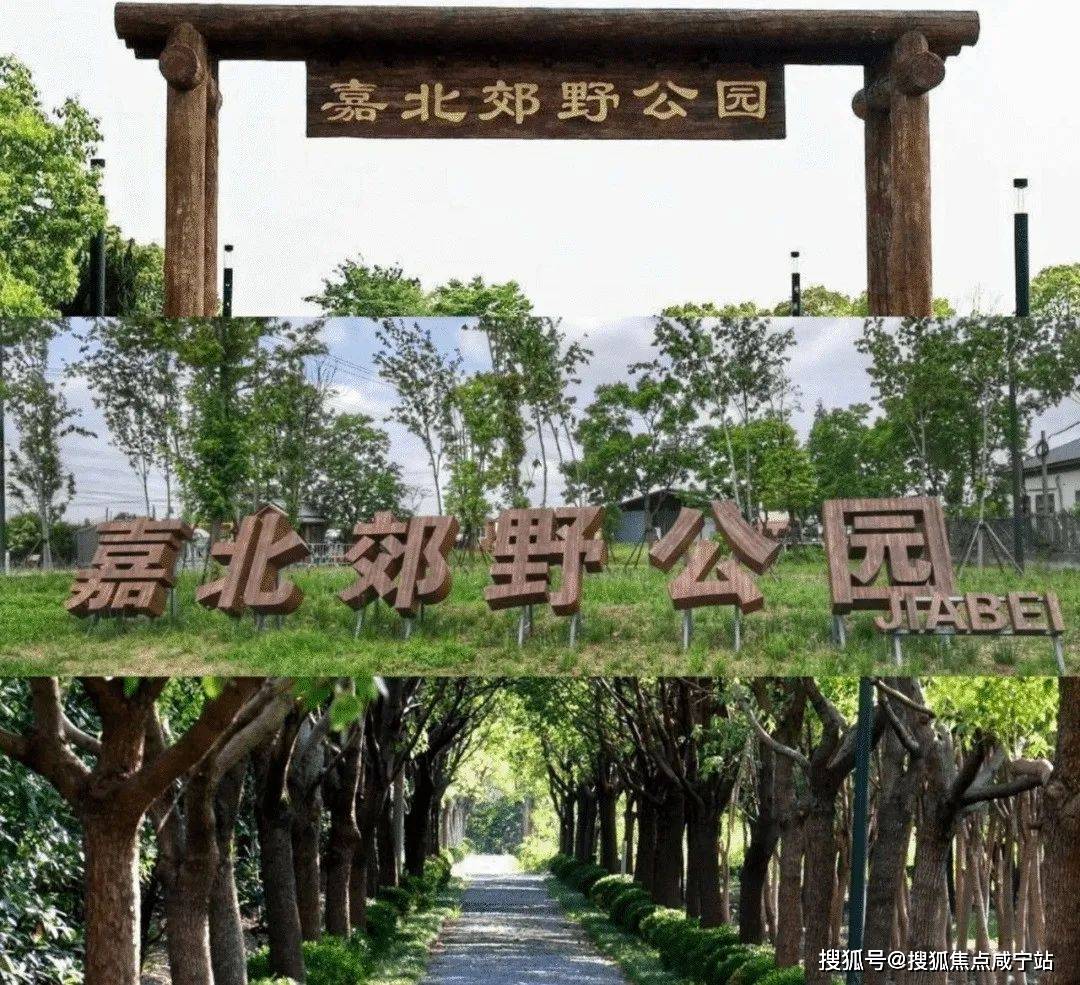 恒房通苹果版
:嘉隆骏_嘉隆骏最新房价丨详情丨交通丨户型丨配套-第8张图片-太平洋在线下载