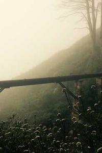 闪电邮手机版-第3张图片-太平洋在线下载 闪电邮手机版-第3张图片-太平洋在线下载