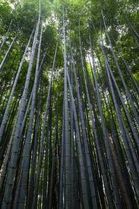 苹果手机xr简配版-第3张图片-太平洋在线下载 苹果手机xr简配版-第3张图片-太平洋在线下载