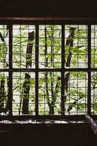 圣安地列斯手机版盒子-第3张图片-太平洋在线下载 圣安地列斯手机版盒子-第3张图片-太平洋在线下载