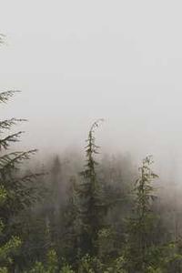 苹果bate版如何更新-第1张图片-太平洋在线下载 苹果bate版如何更新-第1张图片-太平洋在线下载