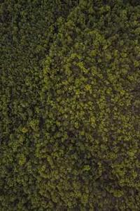 37游戏盒子手机版下载-第4张图片-太平洋在线下载 37游戏盒子手机版下载-第4张图片-太平洋在线下载
