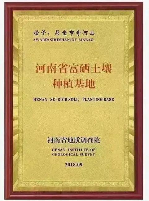 灵宝市苹果镇新闻灵宝市的苹果-第6张图片-太平洋在线下载 灵宝市苹果镇新闻灵宝市的苹果-第6张图片-太平洋在线下载