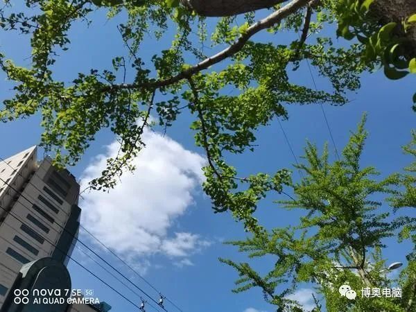 华为手机拍摄新闻手机拍摄新闻照片技巧及构图课件-第2张图片-太平洋在线下载