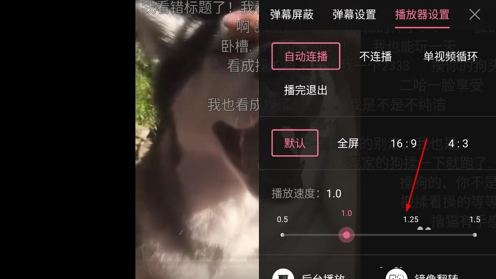 视频客户端加速免费vqn加速软件