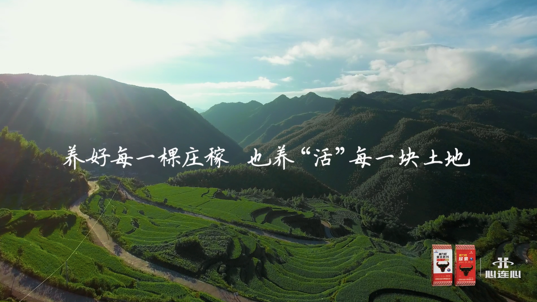 连心客户端连欣科技有限公司