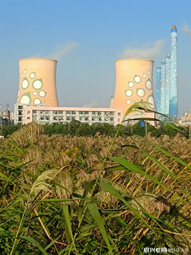 绍兴e网手机版(绍兴e网最新消息)-第4张图片-QuickQ官网