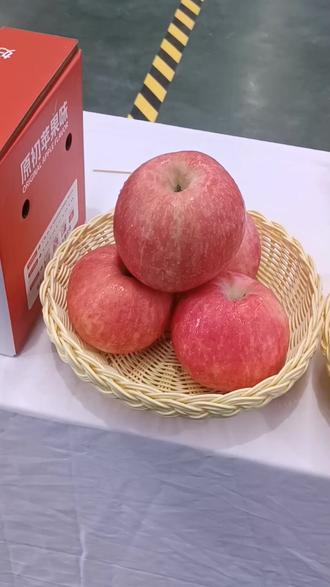 经济版苹果(苹果手机经济适用的是哪款机型)-第4张图片-QuickQ官网 经济版苹果(苹果手机经济适用的是哪款机型)-第4张图片-QuickQ官网
