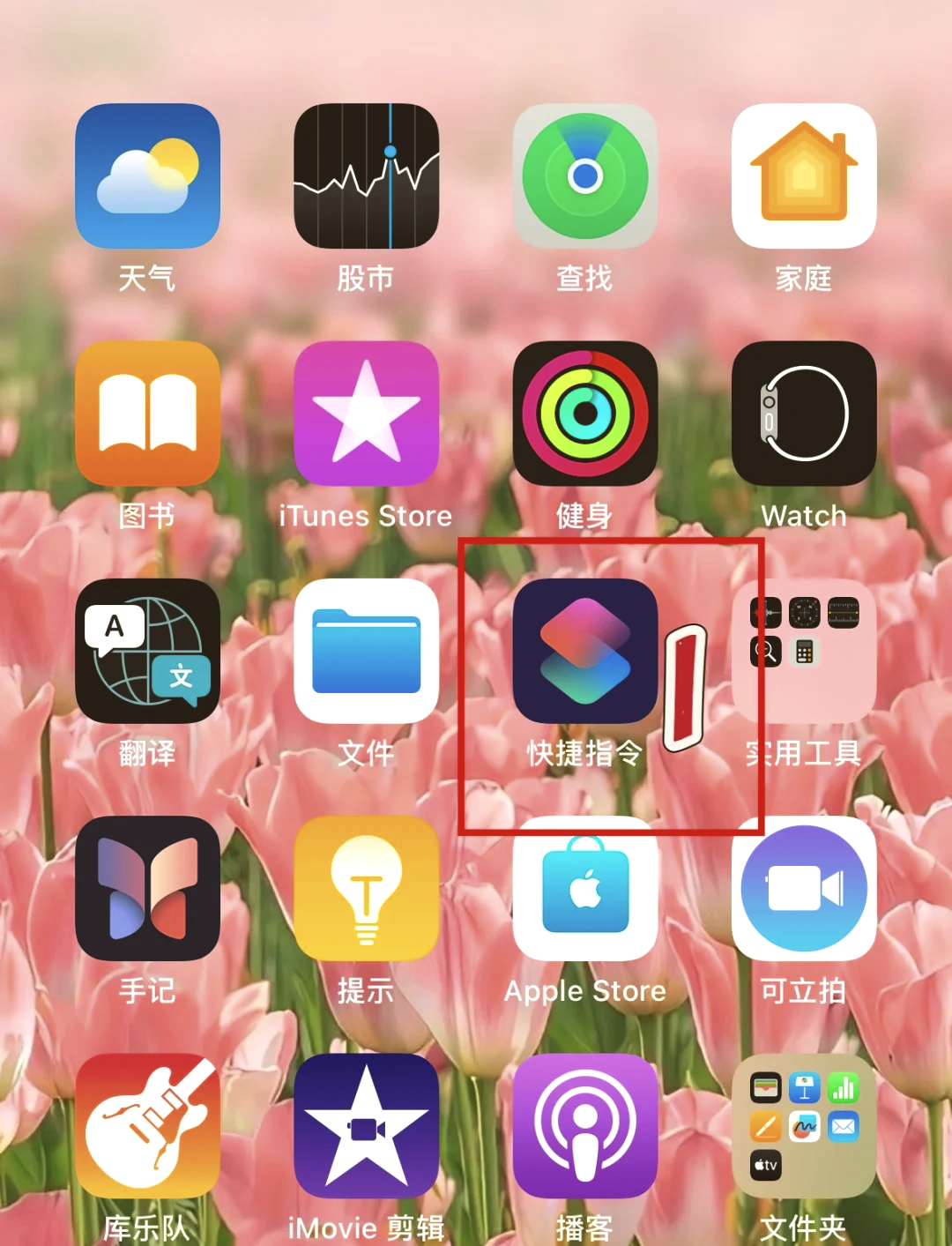 苹果应用小程序苹果版(苹果应用小程序苹果版下载安装)-第4张图片-QuickQ官网 苹果应用小程序苹果版(苹果应用小程序苹果版下载安装)-第4张图片-QuickQ官网