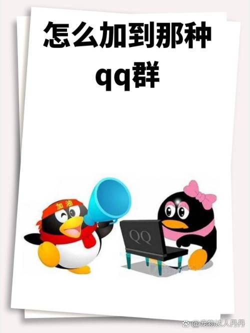 扣扣加群软件手机版(群加人软件安卓版)-第4张图片-QuickQ官网 扣扣加群软件手机版(群加人软件安卓版)-第4张图片-QuickQ官网