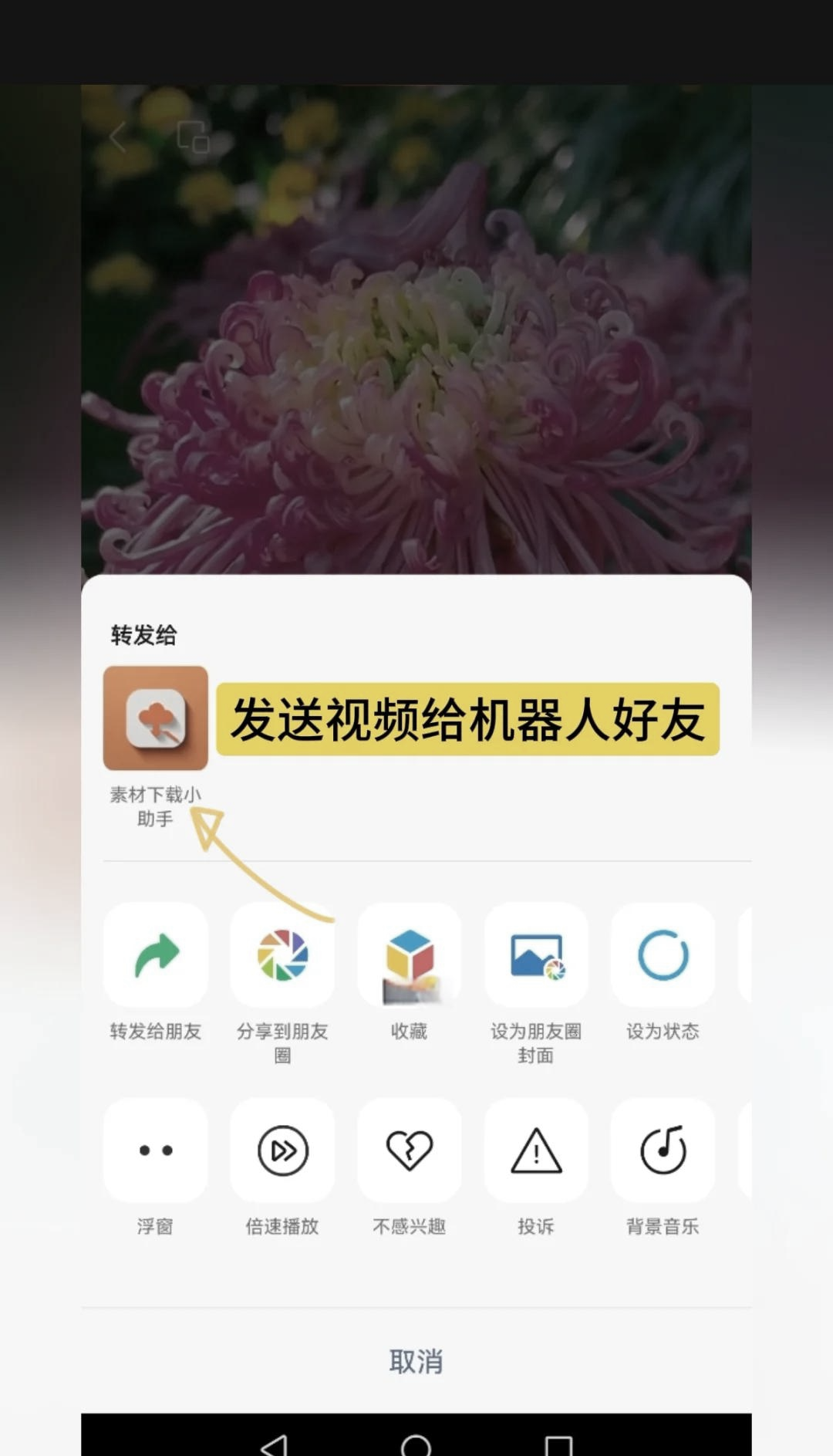 视频号手机版怎么下载(视频号手机版怎么下载到相册)-第5张图片-QuickQ官网 视频号手机版怎么下载(视频号手机版怎么下载到相册)-第5张图片-QuickQ官网